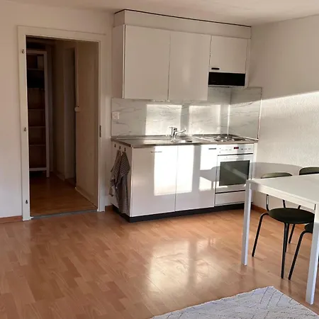 Meiringen Retreat - Sauna, Terrace & Pinball