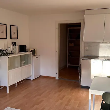 Meiringen Retreat - Sauna, Terrace & Pinball Διαμέρισμα