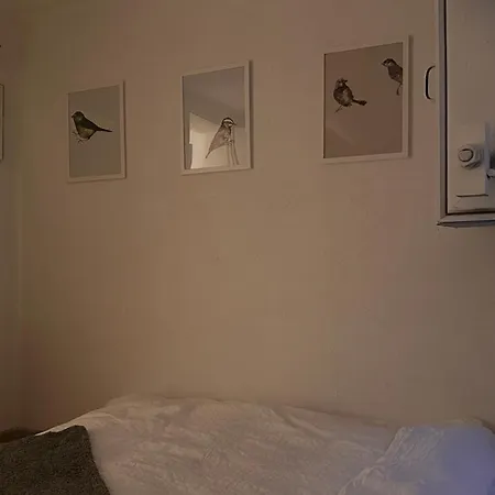 Meiringen Retreat - Sauna, Terrace & Pinball * Meiringen